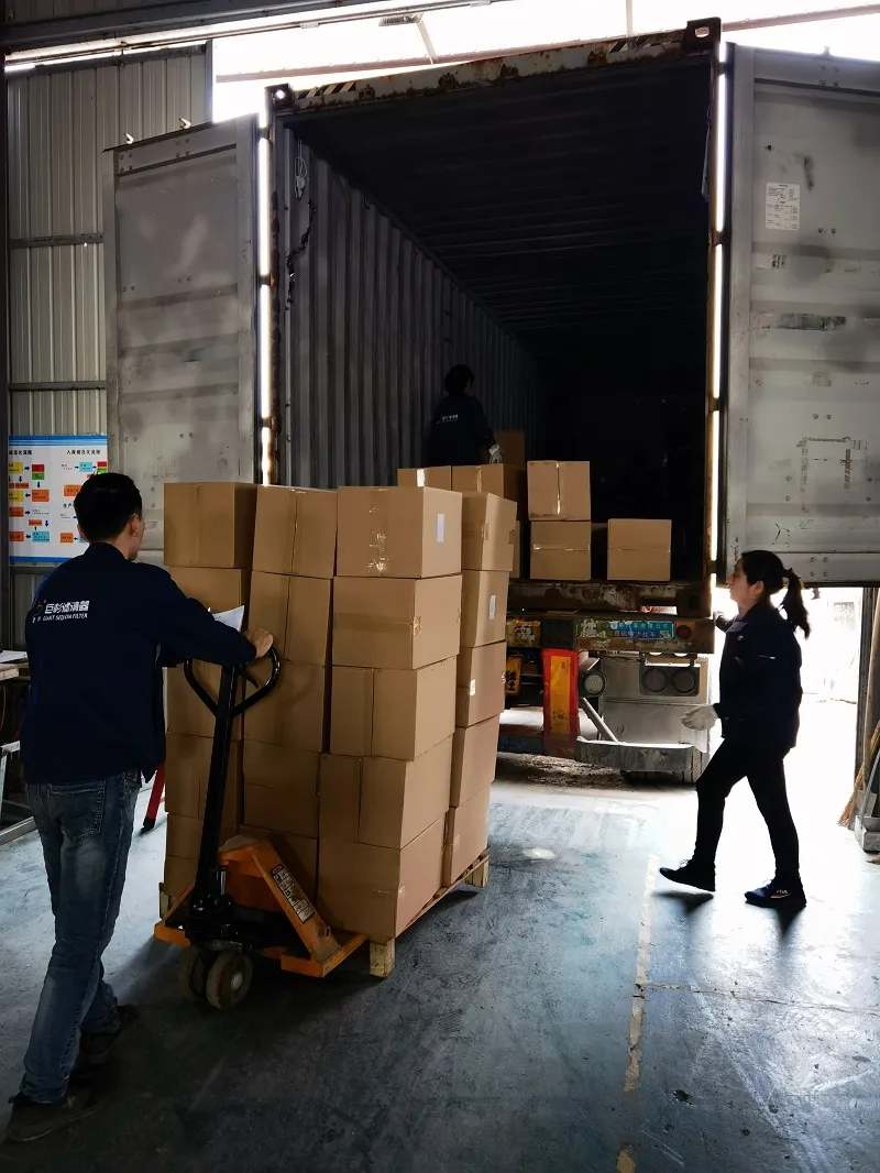 0009831647 0009831625 068127177 Fuel Filter for Linde Forklift Spare Parts12 Month Carton Box Customized 100% Tested 81*158mm Agrofil ISO9001