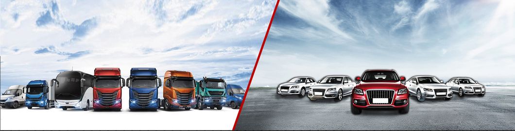 028145157D 357422155f 028145157dx 6K0422154X Power Steering Pump for VW Passat Variant