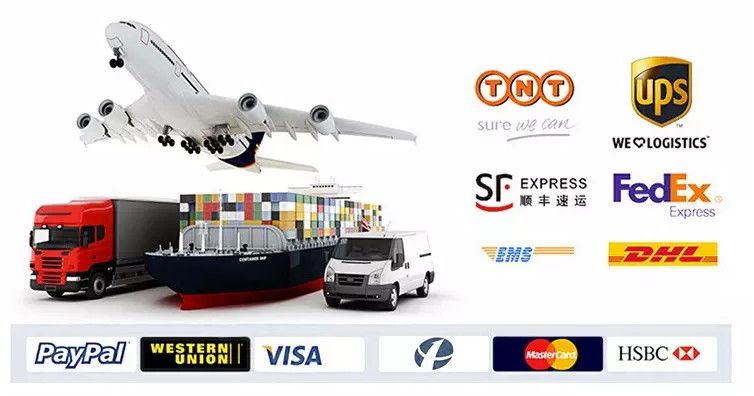 03L115 562 OEM Quality Packing Engine for VW Oil Filter