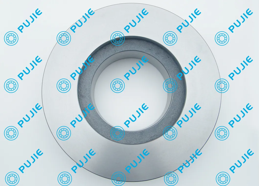 10hole 0501315228 Truck Disc Brake Rotor for Neoplan