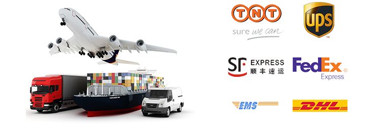 1r-1808 Lf691A 275-2604 3890434 P551808 Heavy Truck Diesel Engine Parts Oil Filter