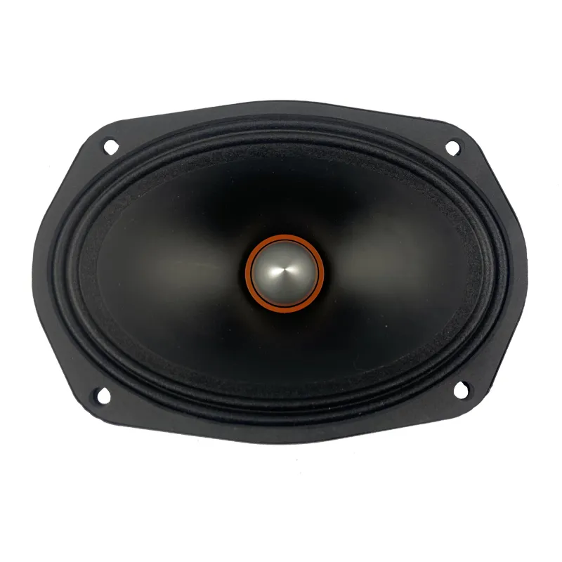 300 W 6inch*9 Inch Midrange Audio Car Speaker