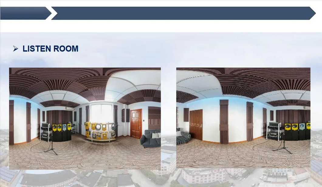 300 W 6inch*9 Inch Midrange Audio Car Speaker