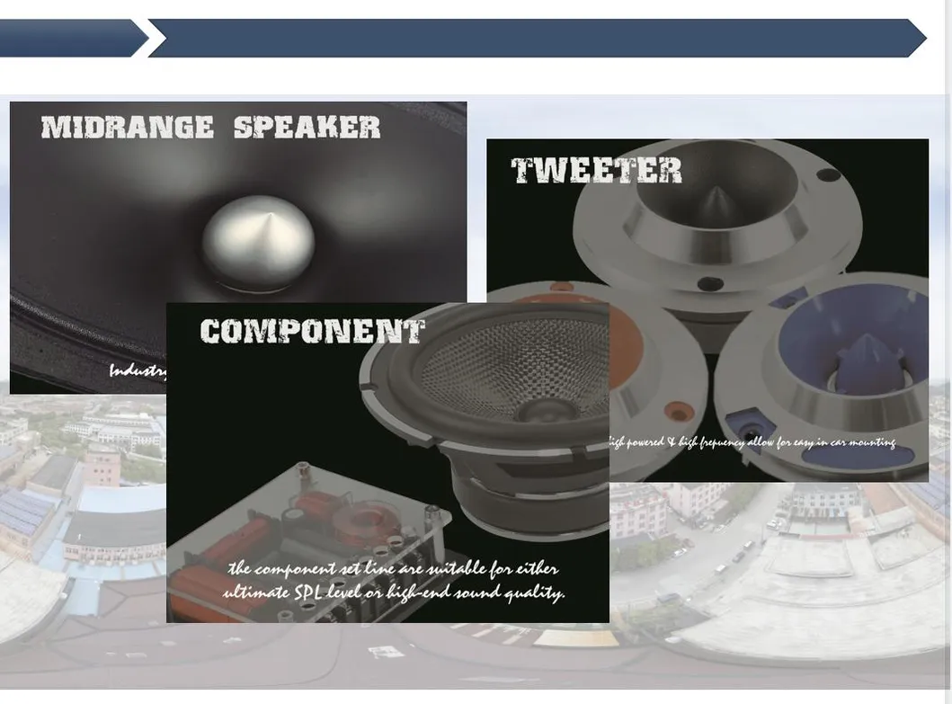 300 W 6inch*9 Inch Midrange Audio Car Speaker