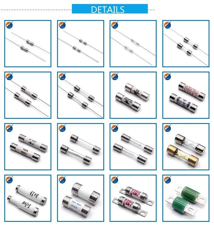 3AG Time Delay Glass Cartridge Fuses