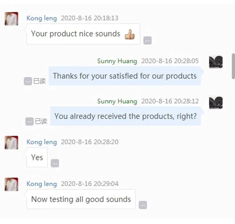 600W Max Power Super Slim Under Seat Subwoofer Disco Music for Car Subwoofer Various Bluetooth Subwoofer Car Audio