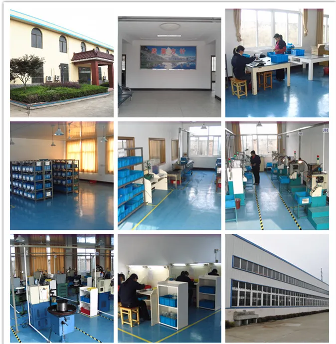 97-04 for Buick Regal Front Shock Absorber Springs