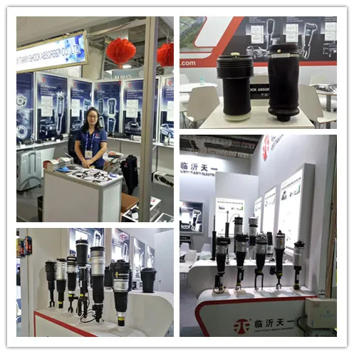 Air Suspension BMW 7-Series (E65, E66) Right Rearwithout Ads