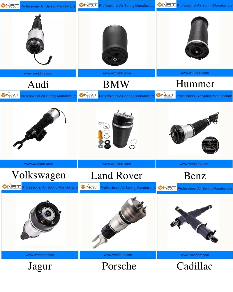 Auto Parts Car Accessories Front Left OEM 2203202138 2203201338 Air Suspension Strut Shock Absorber for Mercedes W220