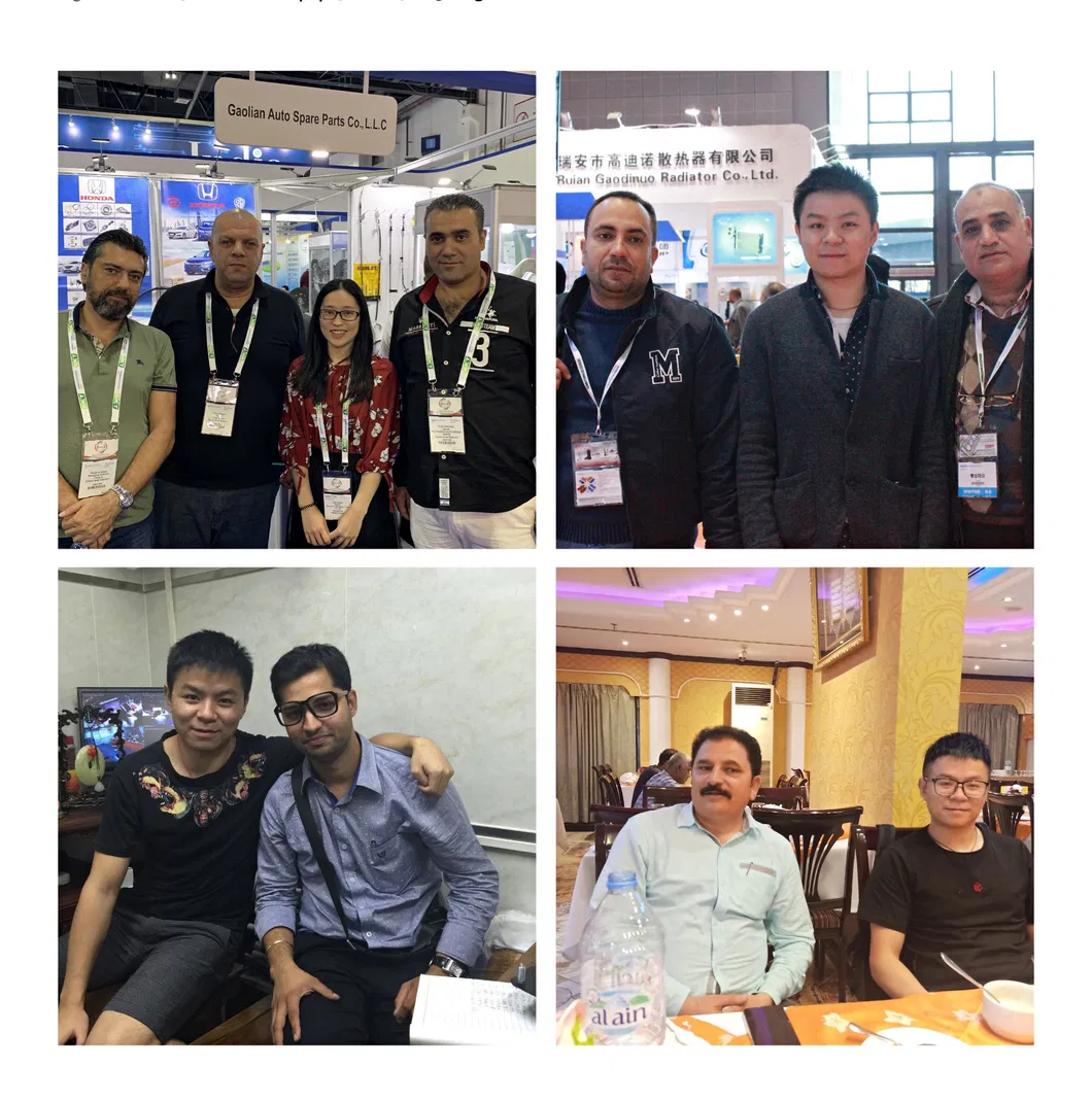 Auto Parts Tensioner Assy OEM 31170-Rfe-006 Odyssey2005-2008 for Honda