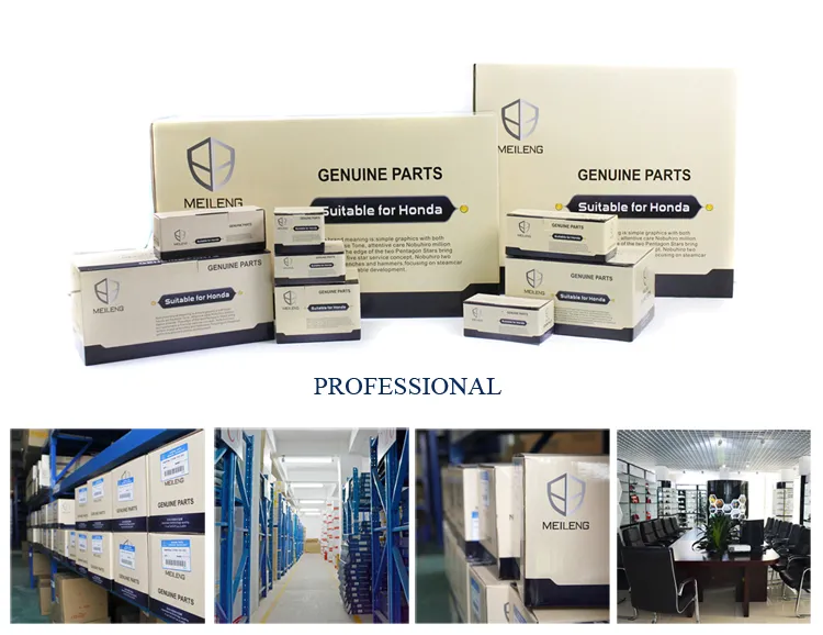 Auto Parts Tensioner Assy OEM 31170-Rzp-A02 Civic2006-2009 for Honda