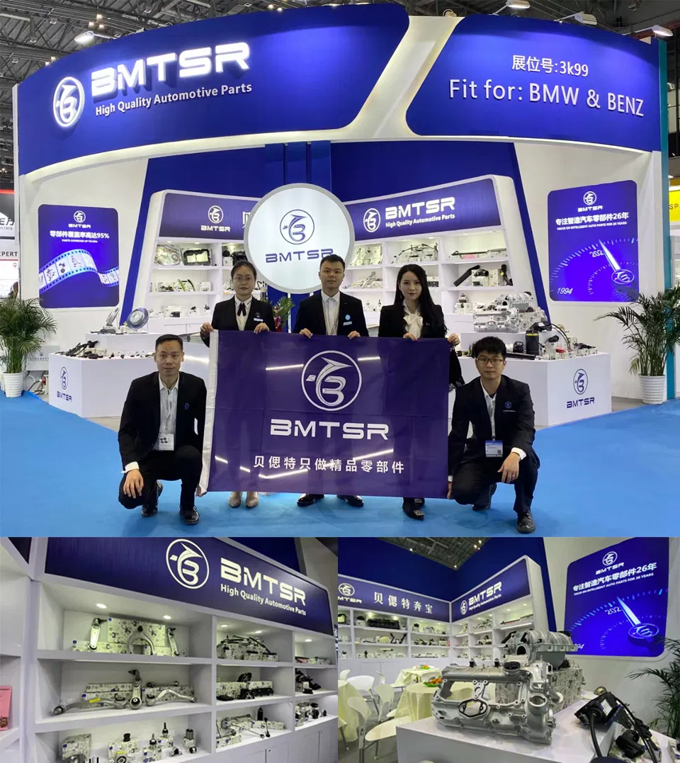 Bmtsr Auto Parts Rear Strut Mount for F10 33506775735