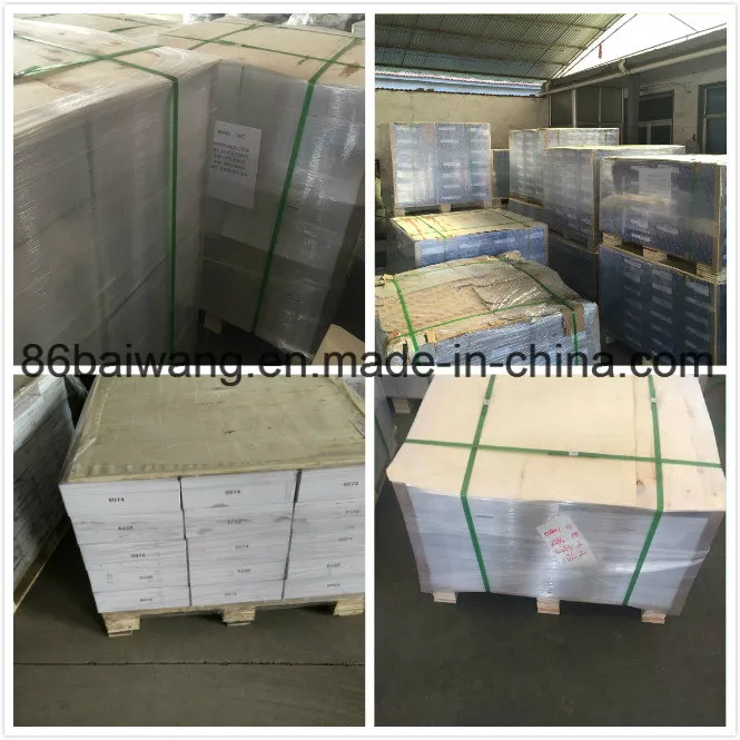 Car Brake Drum 8870 Suit for Chrysler Series