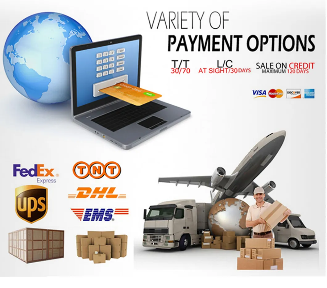 Cat 1r-0715 1r0715 P551315 Excavator Fuel Filter E311b E320b E312c E320c E315c E325b Oil Filter