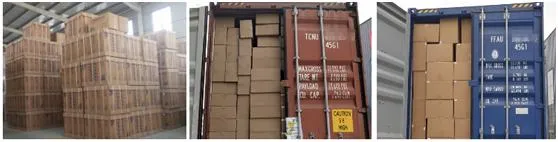 China Factory with Fine Quality and Good Price for Air Filter (036 129 620D)