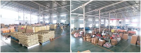 China Factory with Fine Quality and Good Price for Air Filter (036 129 620D)