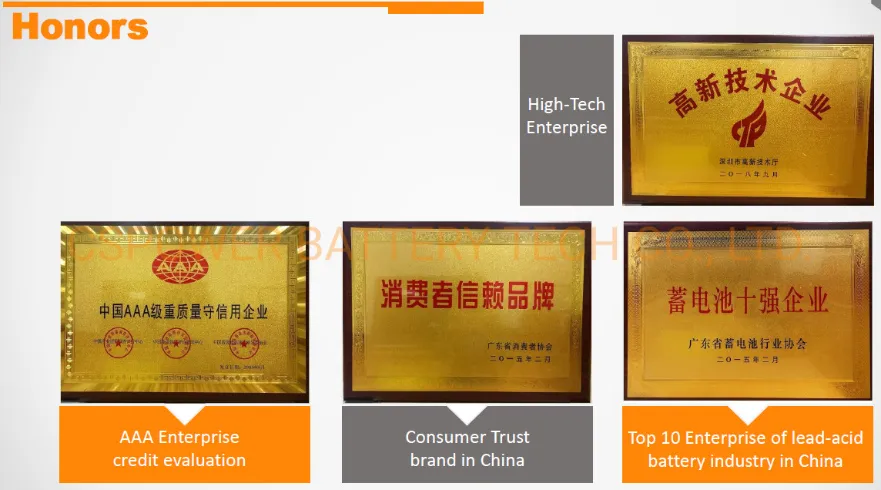 Cspower 12V60ah Start Stop AGM Car Battery Maintenance Free Battery