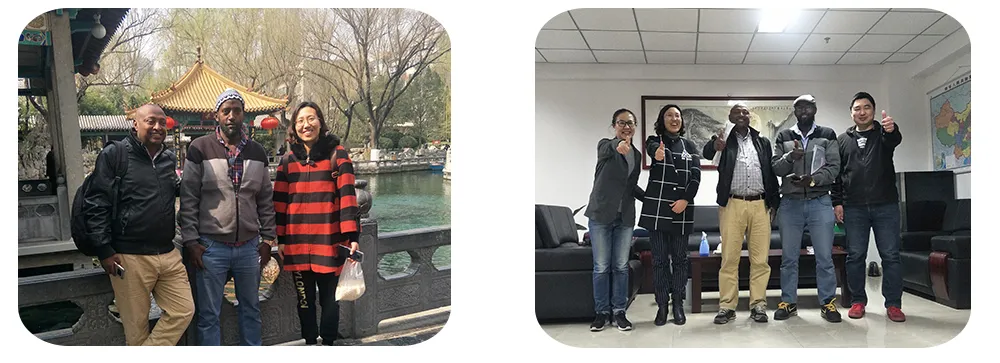 Factory Supply Hot Selling HOWO Truck Spare Parts Cabin Front Shock Absorber Wg1642440088