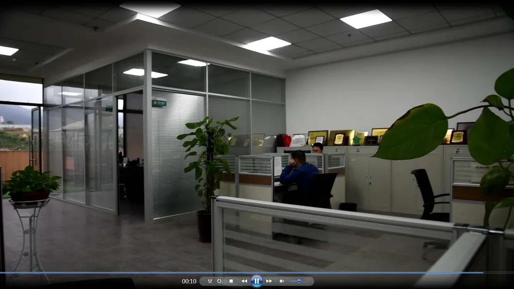 Front Brake Pads for Glory580 360 370 F506 F507 CS35 Chana Ruixing S50