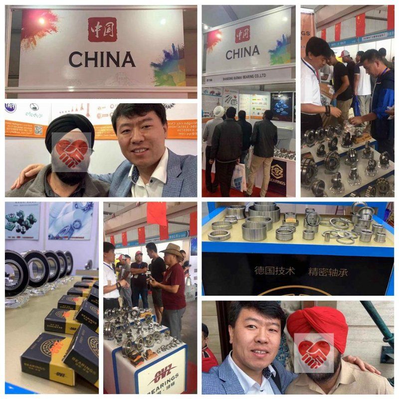 Front Wheel Hub Bearings Du4010addxc 510003 Dac4074W-3CS80 40bwd12 510070 90363-40066 Bahb633966 559494 Tgb12933s0 510029 IR-8593 90369-T0005 for Ford Audi