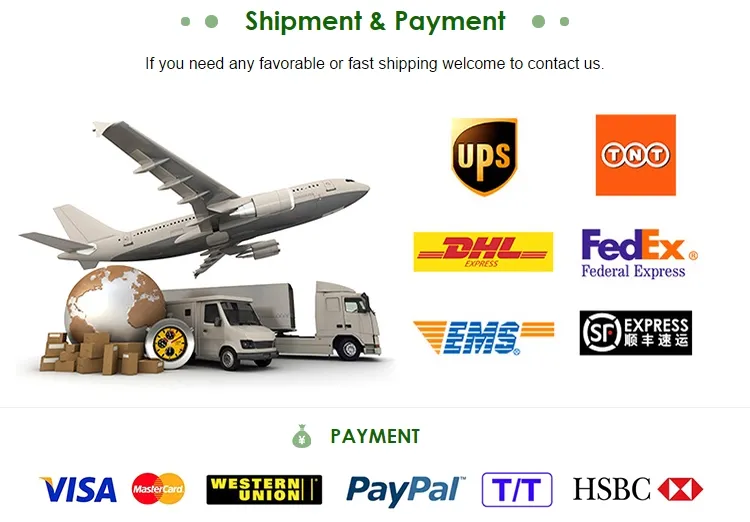 High Pressure Resistant Product Performance Air Filter OEM 28113-22600