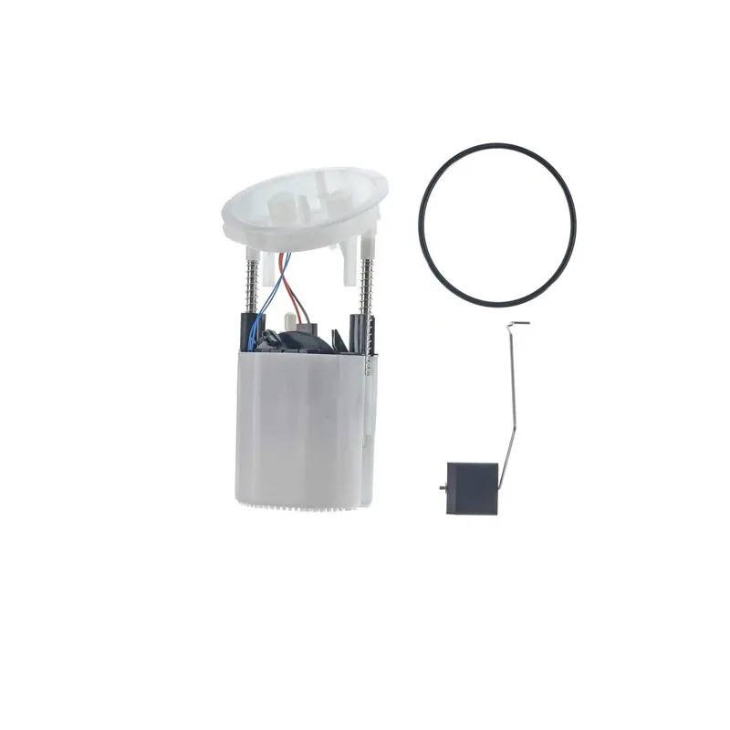 High Quality Fuel Pump Assembly for BMW 16117197076, A2c53101330z