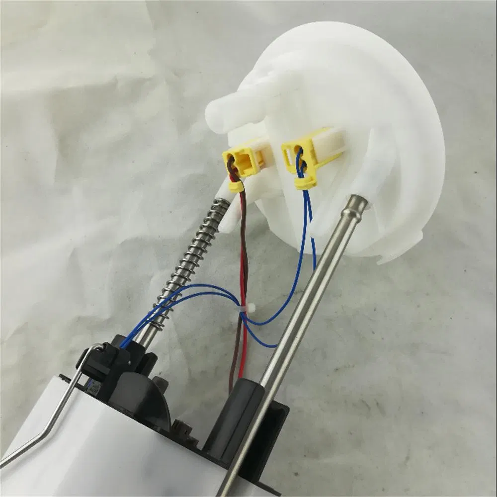 High Quality Fuel Pump Assembly for BMW 16117197076, A2c53101330z