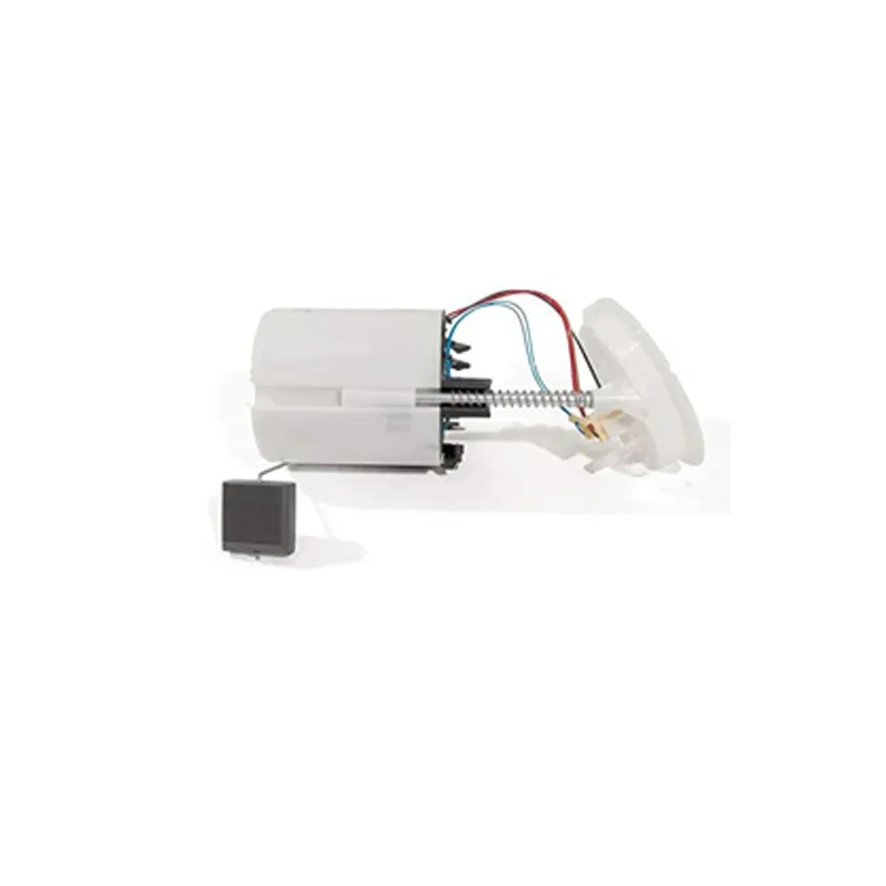 High Quality Fuel Pump Assembly for BMW 16117197076, A2c53101330z