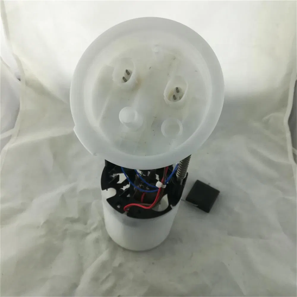 High Quality Fuel Pump Assembly for BMW 16117197076, A2c53101330z