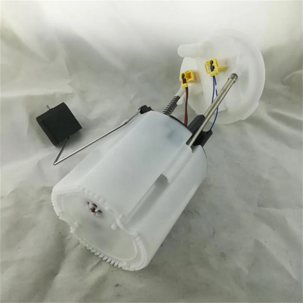 High Quality Fuel Pump Assembly for BMW 16117197076, A2c53101330z