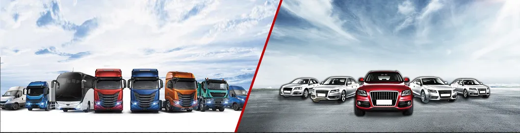 Hydraulic Power OEM No. 99463258 504030059 98445304 93807841 Steering Rack for Iveco Daily I 1978 - 1990 LHD