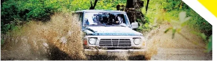 Maxxis Trailer Tires Cr-966 195/50r13c 195/55r10c 195r14c, 225/75r15c Tyres