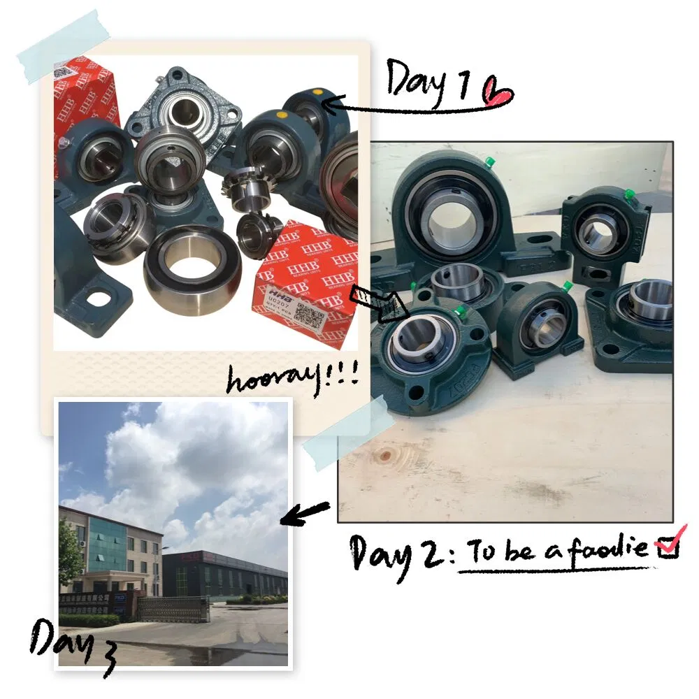 Nice Price, Agricultural Bearing, W200PP (b) Serice Bearing,