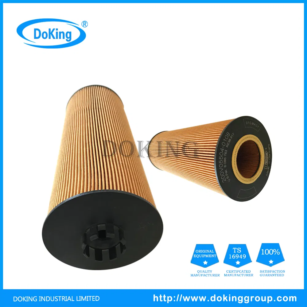 Oil Filter 51.05504.0108 for Hengst with Good Price