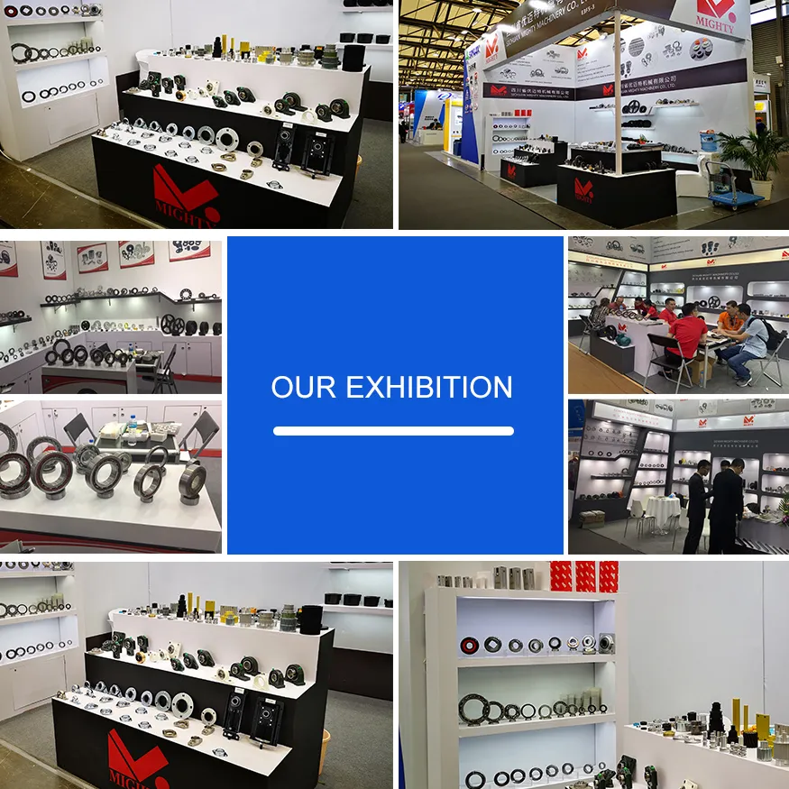 Ppb Brand Automatic Tensioner Pulley Bearing 457 200 2170 Vkmcv51007 531060530 for Mercedes-Benz Atego Axor Conecto Econic