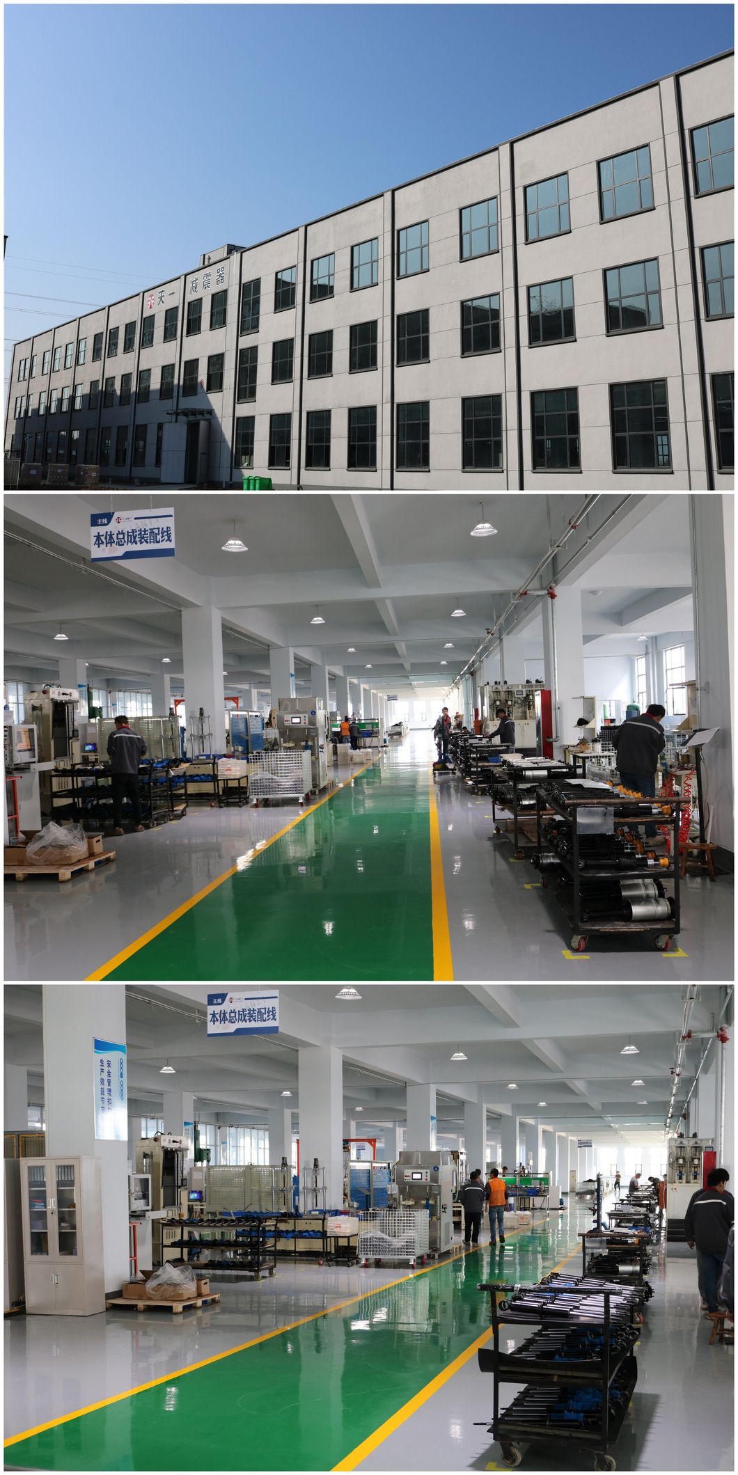 Rnb 000 856 Air Shock Absorber Land Rover Discover Front