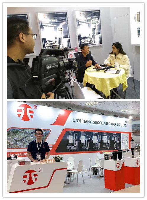 Rnb 000 856 Air Shock Absorber Land Rover Discover Front