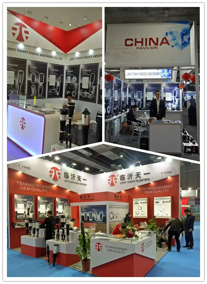 Shock Absorber Damper 23-230668 Top German Quality