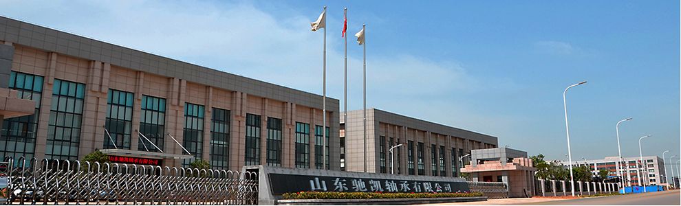 Single Double Row Deep Groove, Angular Contact, Aligning, Thrust, Insert, Pillow Block, Ball /Cylindrical, Spherical, Tapered, Needle, Roller Rolling Bearing