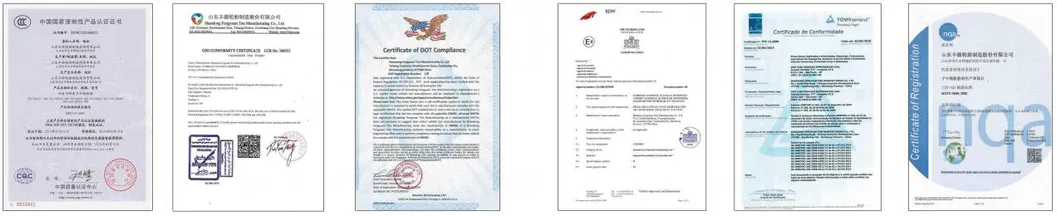 Top Manufacturer All Season PCR SUV Radial Car Tyre