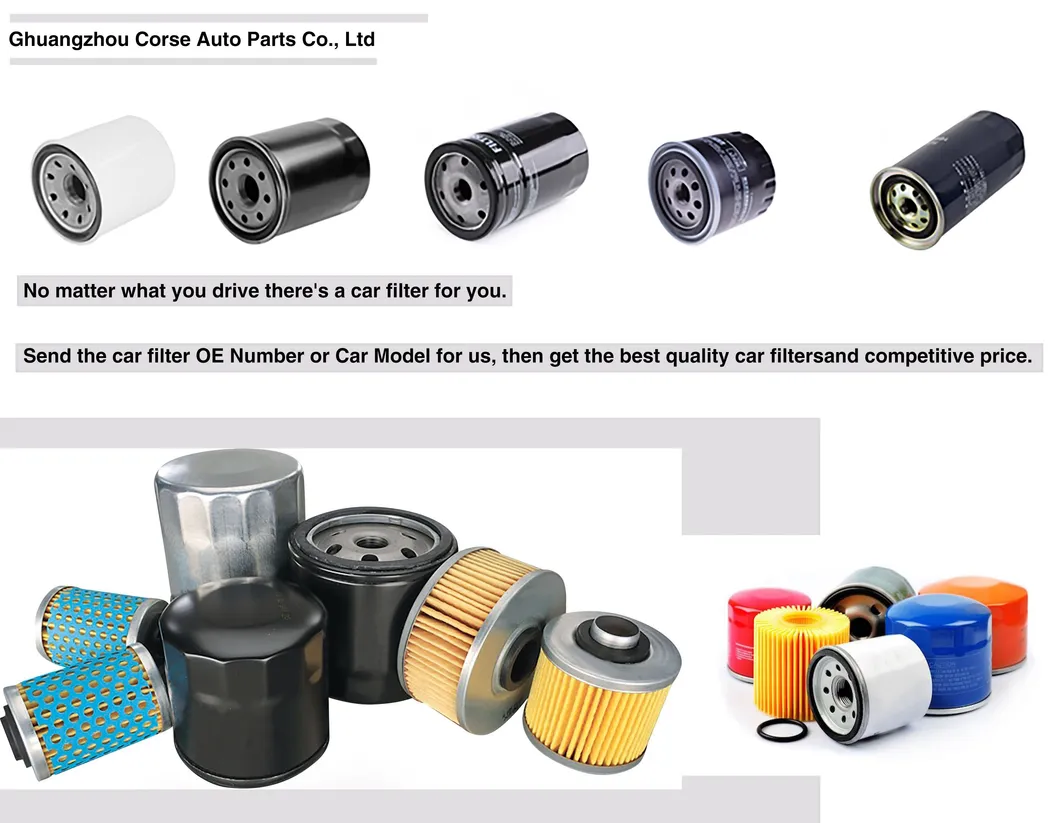 Wenzhou Car Accessories Car Fuel Filter Element for Volkswagen and Skoda 03c 115 561b 03c 115 561b